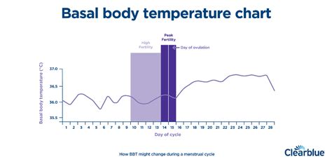 monophasic basal body temperature|basal body temperature chart pdf.